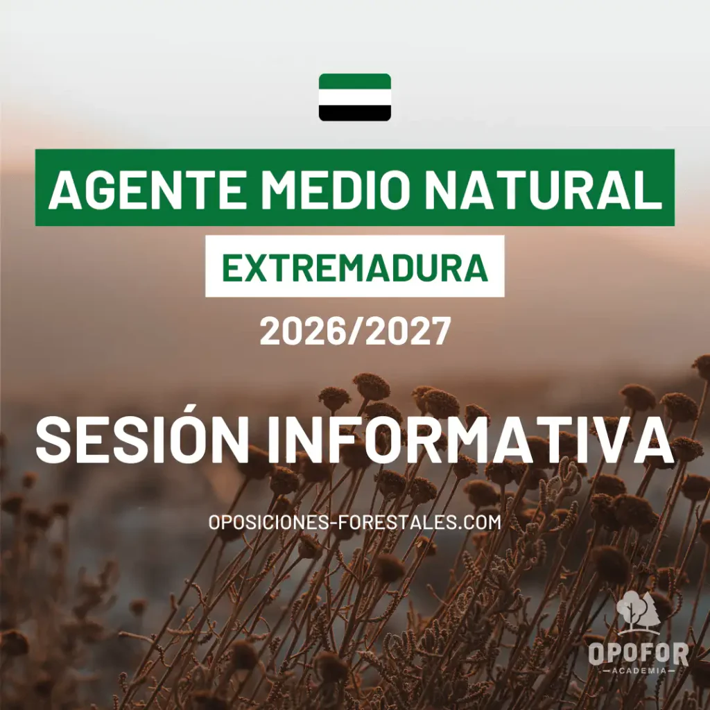 Sesion Informativa Extremadura Destacada 2026-web-web Sesion Informativa Extremadura Destacada 2026