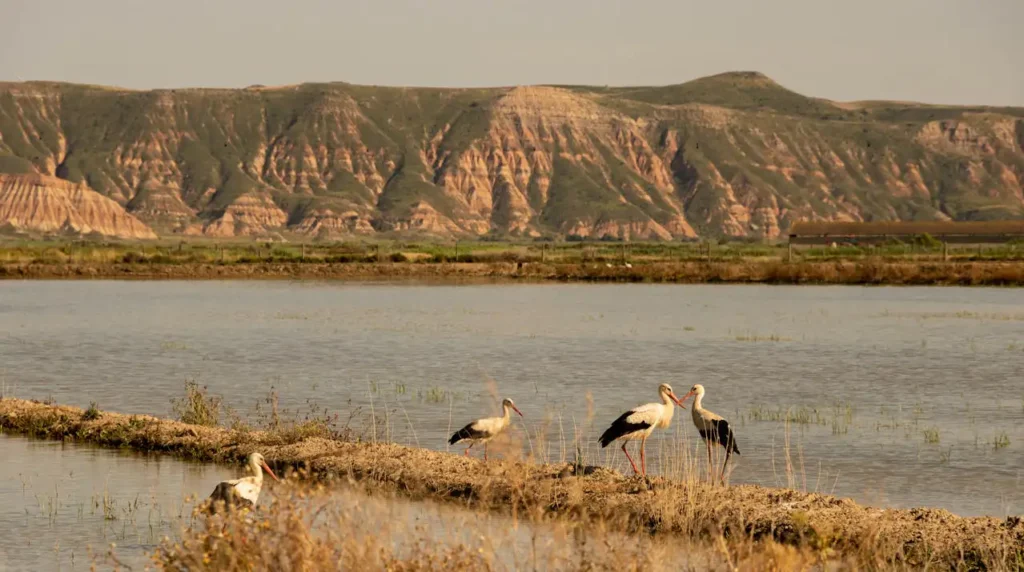 lagunas temporales en Extremadura